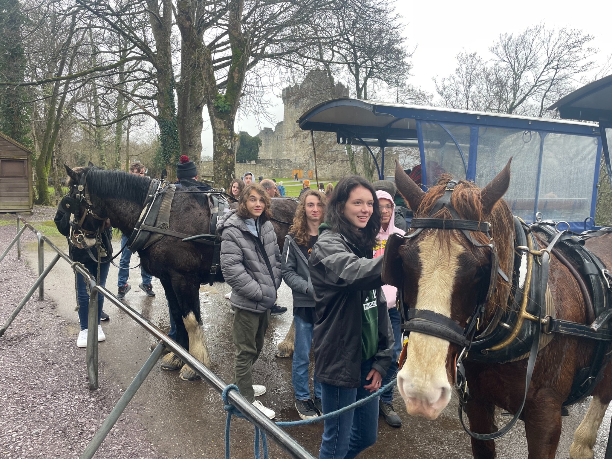students petting horse with carriage 