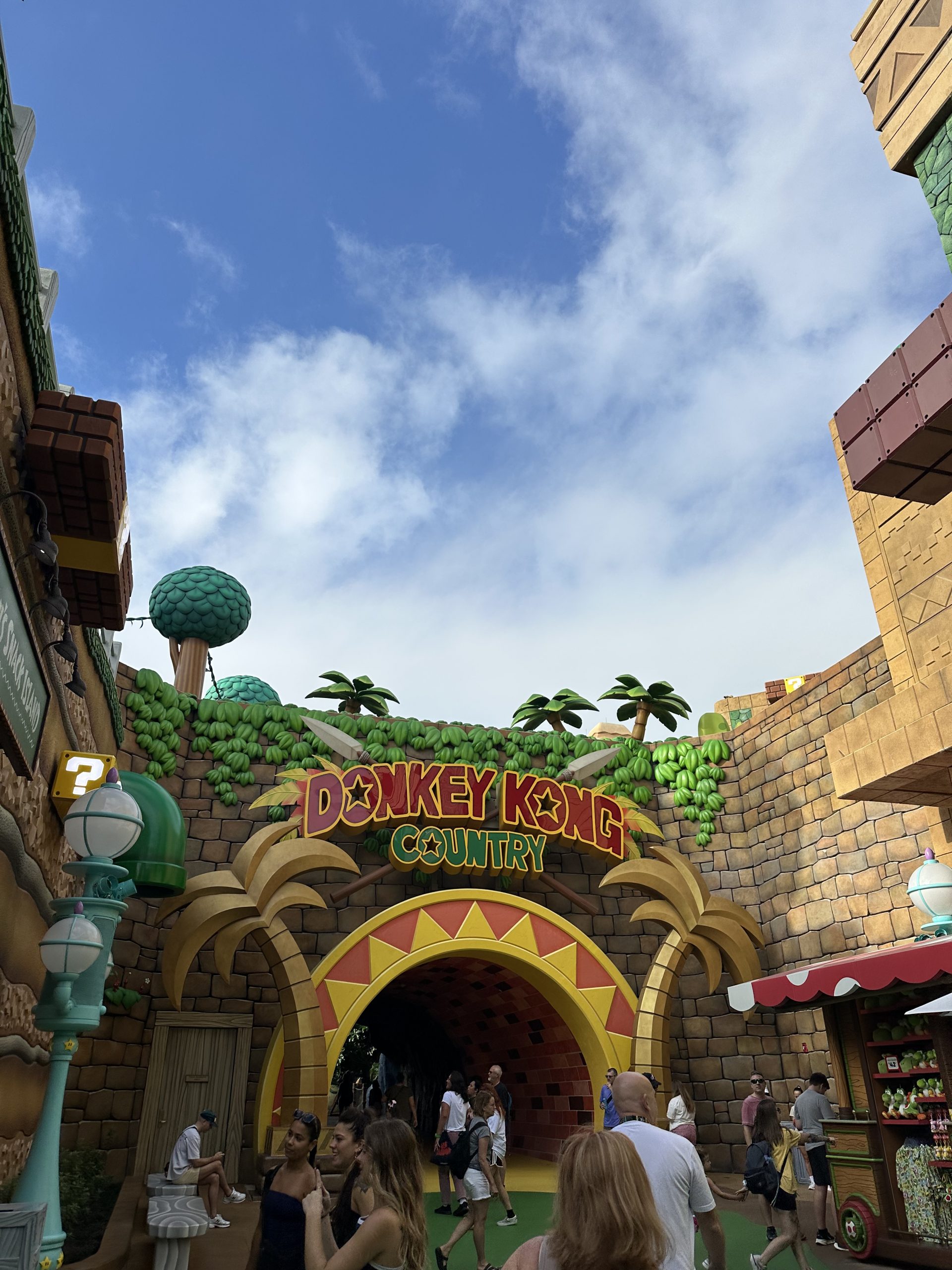 entry to donky kong ride