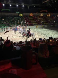 photo of medival times knights on their horses