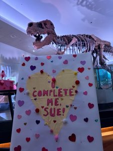 Sue the t-rex skeleton with her large valentine card that says "U complete me, Sue" with many hearts around it
