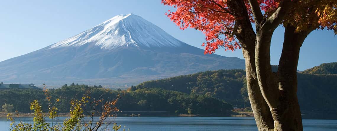 Japan Educational Trips